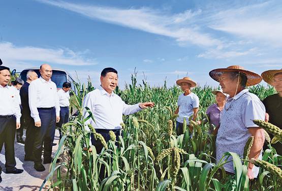 http://www.news.cn/politics/leaders/2022-03/31/1128520467_16487126880731n.jpg