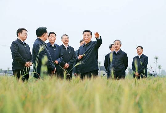 http://www.news.cn/politics/leaders/2022-03/31/1128520467_16487127174831n.jpg