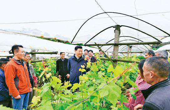 http://www.news.cn/politics/leaders/2022-03/31/1128520467_16487127510571n.jpg
